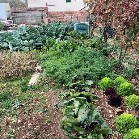 With Parking Space - 23616 *