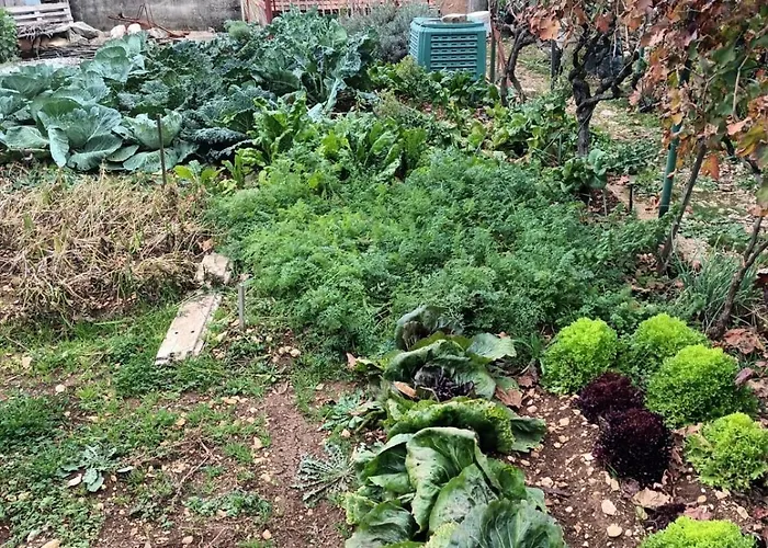 With Parking Space - 23616 *